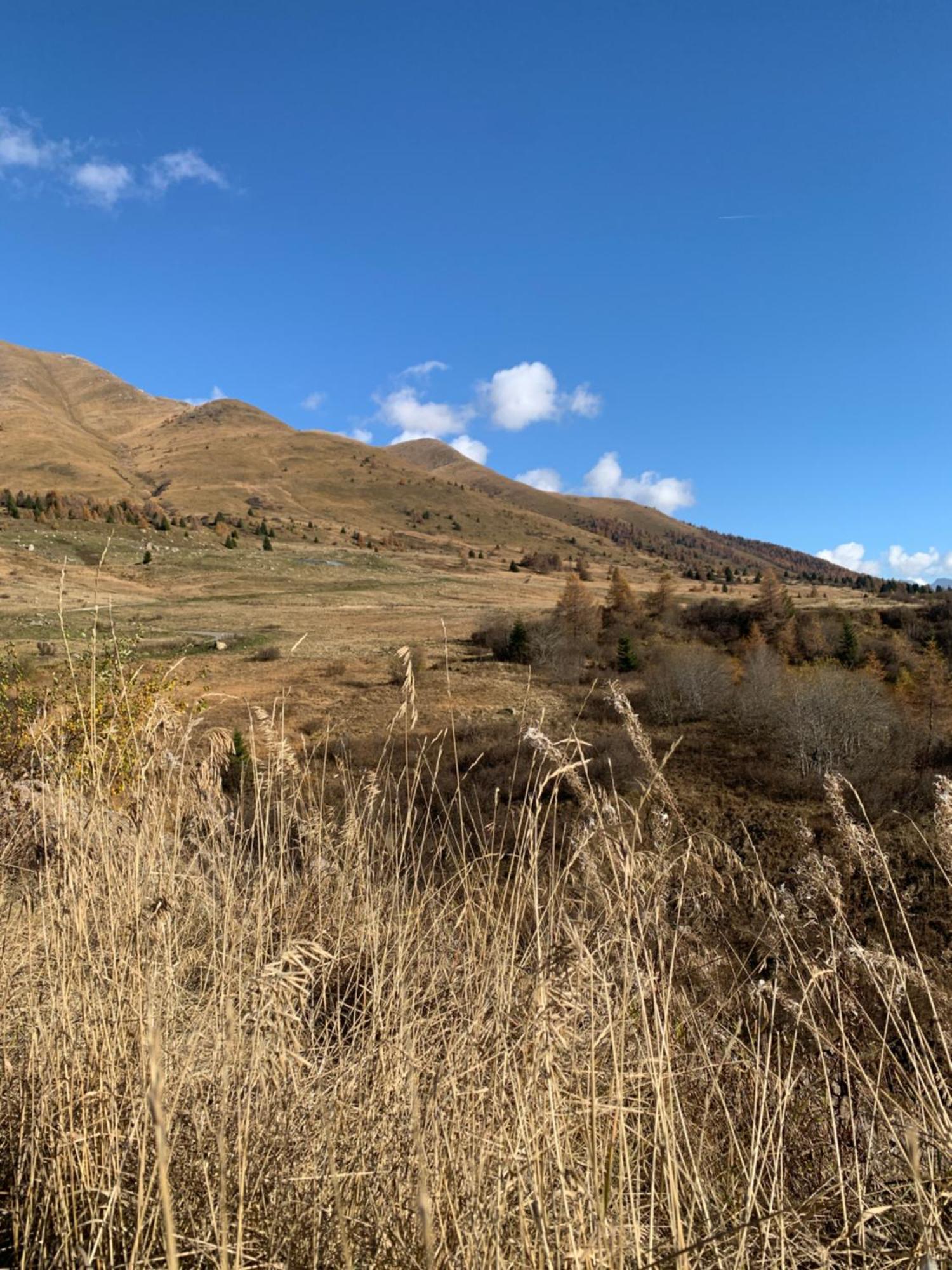 Appartamento Passo Del Tonale Eksteriør billede