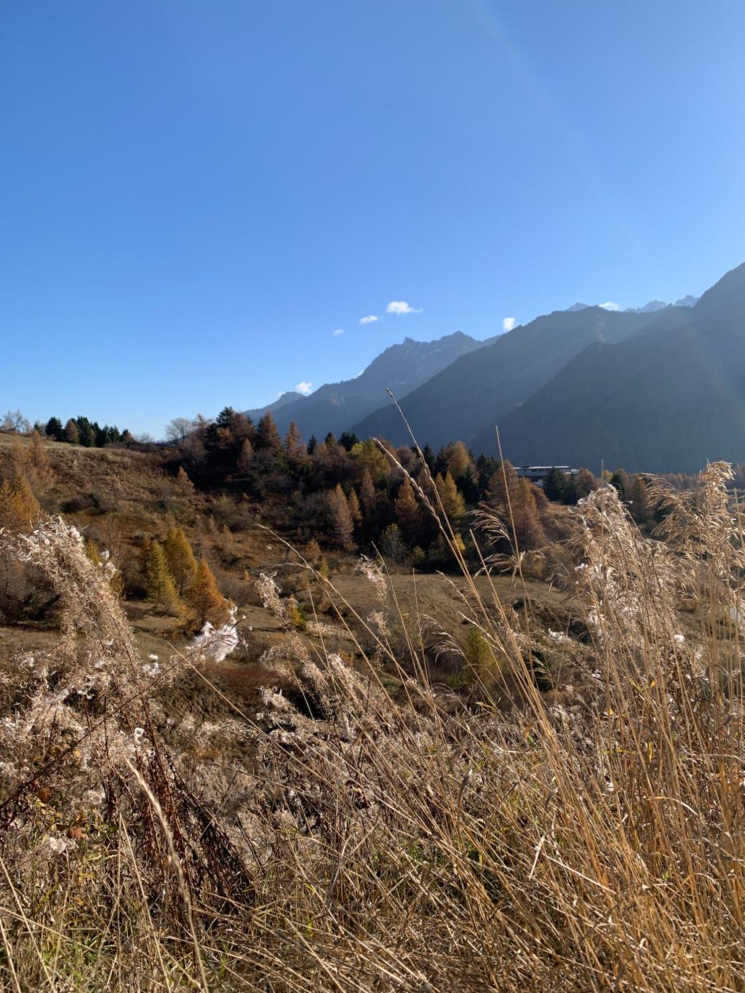 Appartamento Passo Del Tonale Eksteriør billede