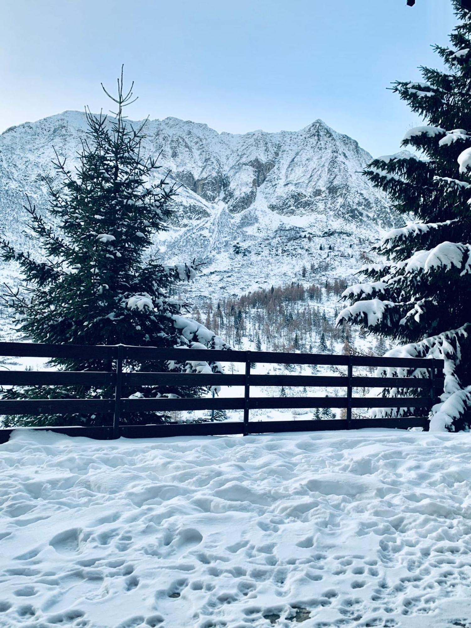 Appartamento Passo Del Tonale Eksteriør billede